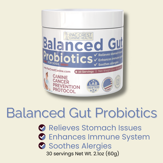 Canine Balanced Gut Probiotics