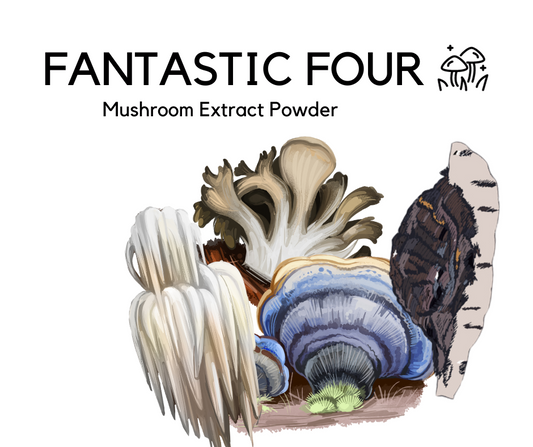 Fantastic Four Mushroom Extracts