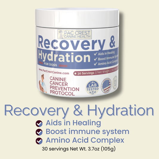 Canine Recovery & Hydration