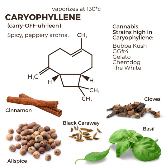 More on Caryophyllene