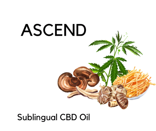 Ascend: Mushroom CBD Oil