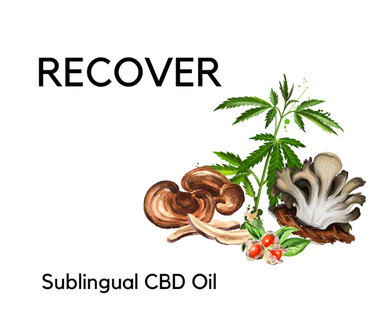 Recover: Mushroom CBD Oil