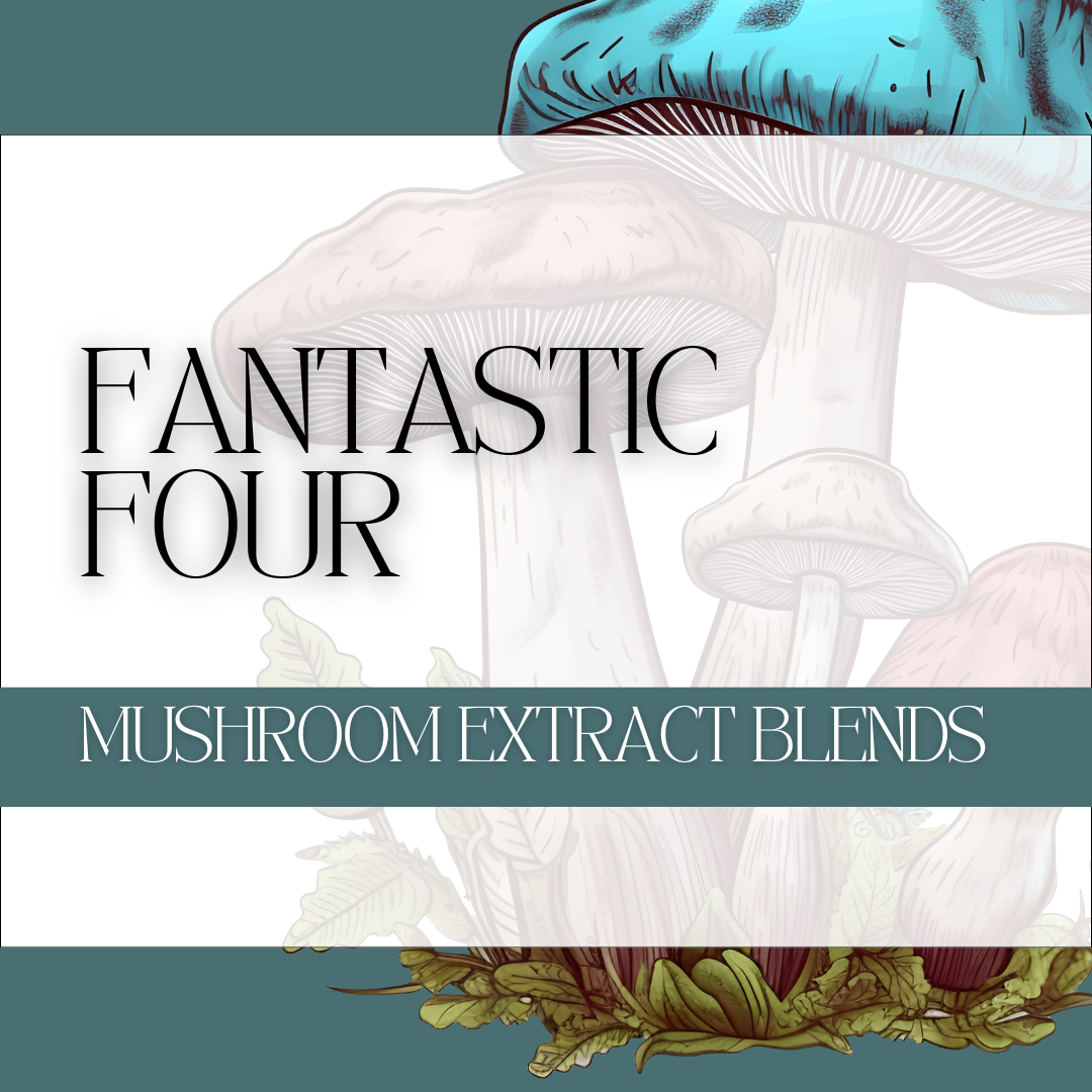 Fantastic Four Mushroom Extract Blend
