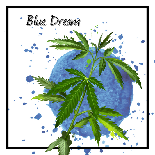 Blue Dream Delta 8 CBD Oil