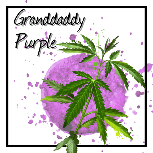 Granddaddy Purple Delta 8 CBD Oil
