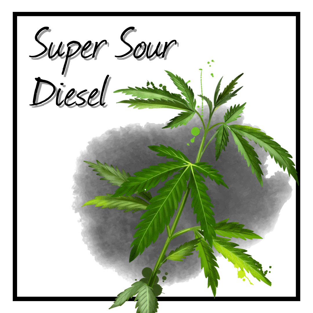 Super Sour Diesel Delta 8 CBD Oil